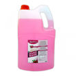 Picture of 5 Liter Hand Wash