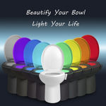 Picture of 8 Color Led Night Light With Motion Sensor Activated Glow For Toilet Bathroom Bowl (Medium, Multicolour)
