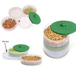 Picture of Plastic Hygienic Sprout Maker Box With 3 Container (Green Color)