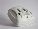 Picture of Cockroach Expeller