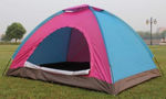 Picture of 6 Person Tent