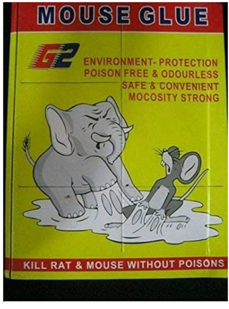 Picture of Mouse Glue