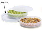 Picture of Plastic Hygienic Sprout Maker With 3 Container Organic Home Making Fresh Sprouts Beans For Living Healthy Life Sprout Maker