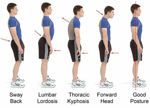 Picture of Royal Posture Back Support Belt For Posture Corrector