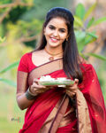 Picture of Organic Beautiful Banarasi Sarees For Wedding
