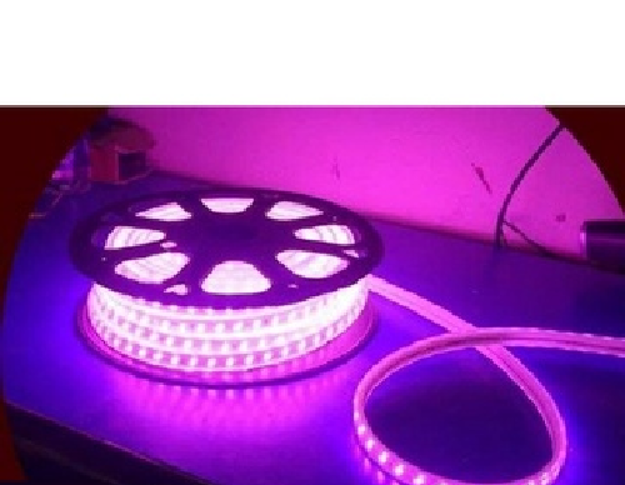 Picture of Led Strip Light 5 Mtr  Non-Waterproof With + Adapter (Pink)