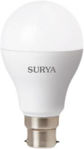 Picture of Surya Led Lamp, 12W Neo Plus (1080 Lumens, Pack Of 2, White)