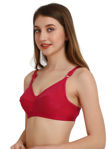 Picture of Sh Globle Women Cotton Non Padded Bra Bra Set Pack Of 2